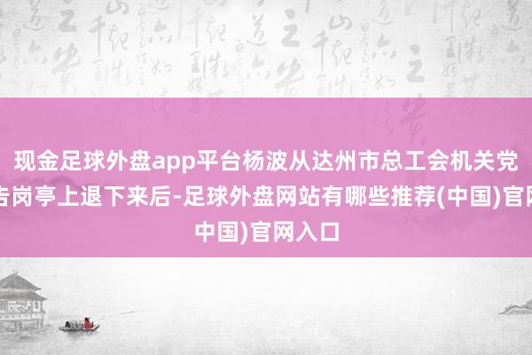 现金足球外盘app平台杨波从达州市总工会机关党委布告岗亭上退下来后-足球外盘网站有哪些推荐(中国)官网入口