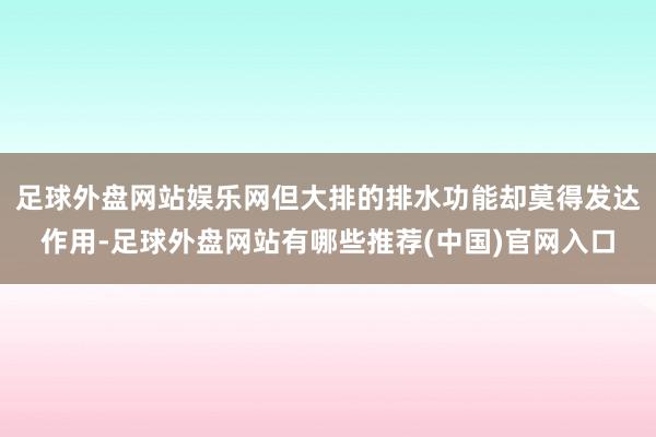 足球外盘网站娱乐网但大排的排水功能却莫得发达作用-足球外盘网站有哪些推荐(中国)官网入口