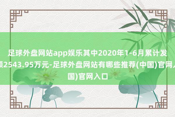 足球外盘网站app娱乐其中2020年1-6月累计发生额2543.95万元-足球外盘网站有哪些推荐(中国)官网入口