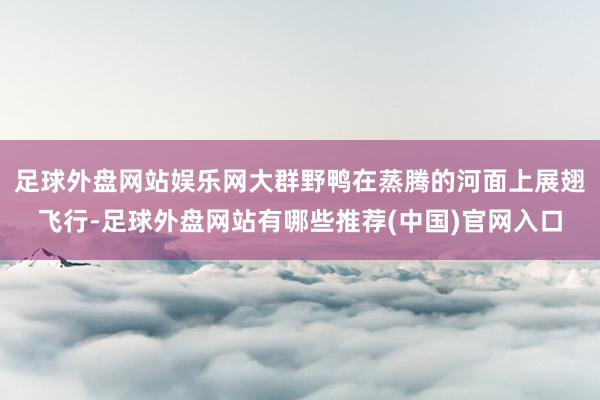 足球外盘网站娱乐网大群野鸭在蒸腾的河面上展翅飞行-足球外盘网站有哪些推荐(中国)官网入口
