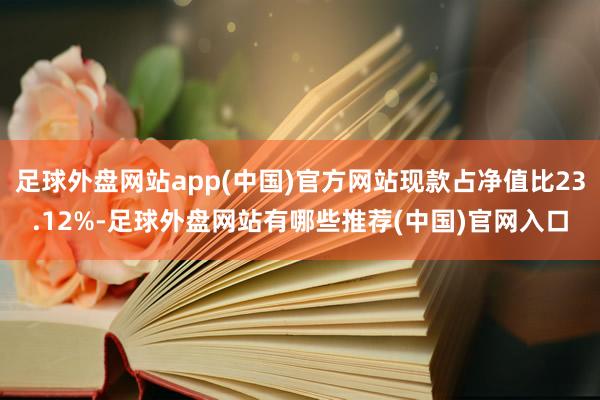 足球外盘网站app(中国)官方网站现款占净值比23.12%-足球外盘网站有哪些推荐(中国)官网入口