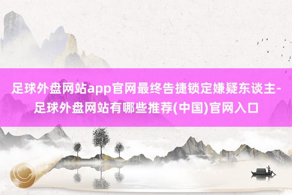 足球外盘网站app官网最终告捷锁定嫌疑东谈主-足球外盘网站有哪些推荐(中国)官网入口