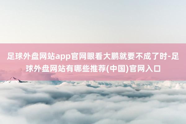 足球外盘网站app官网眼看大鹏就要不成了时-足球外盘网站有哪些推荐(中国)官网入口