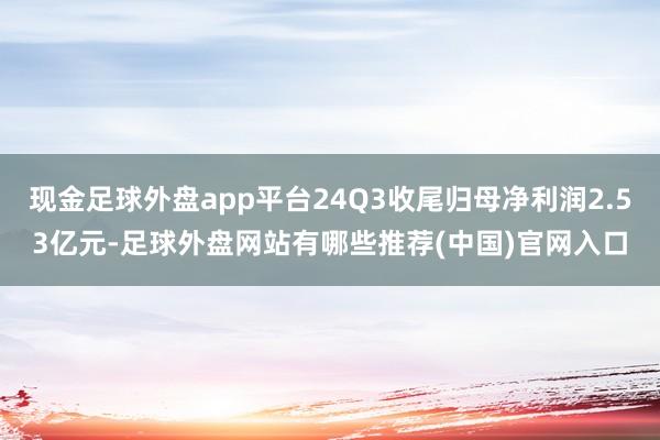 现金足球外盘app平台24Q3收尾归母净利润2.53亿元-足球外盘网站有哪些推荐(中国)官网入口